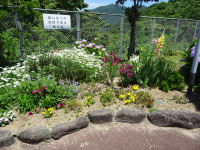 DSC09841