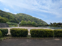 PXL_20250428_063448377