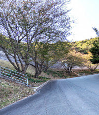 PXL_20251107_051116901