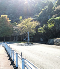 PXL_20251107_051233998