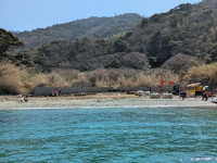 PXL_20260321_030846739