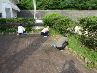 DSC03118