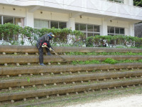 DSC03130