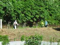 DSC03183