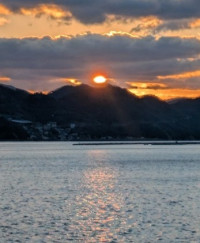 PXL_20251231_223144602.MP