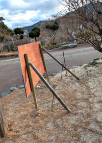 PXL_20260125_234516051