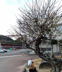 PXL_20260223_215414601