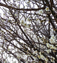 PXL_20260223_215424833